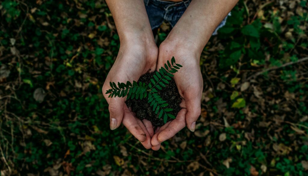 Finance verte et investissement éthique responsable — valeurs ENVEA PATRIMOINE